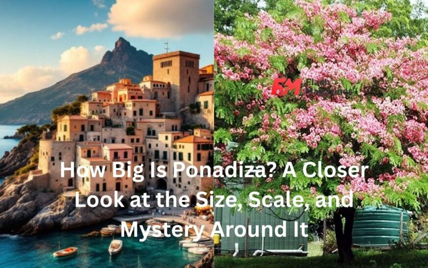 how big is ponadiza