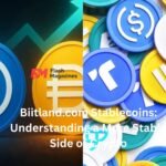 biitland.com stablecoins