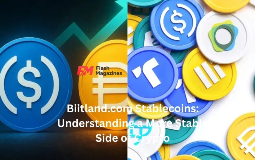 biitland.com stablecoins